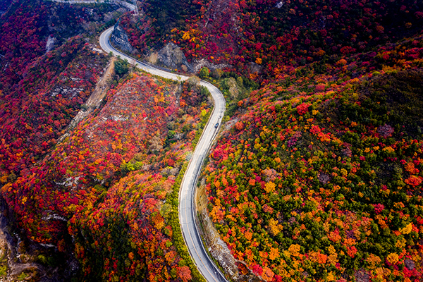 紅色之路   郭宇峰攝