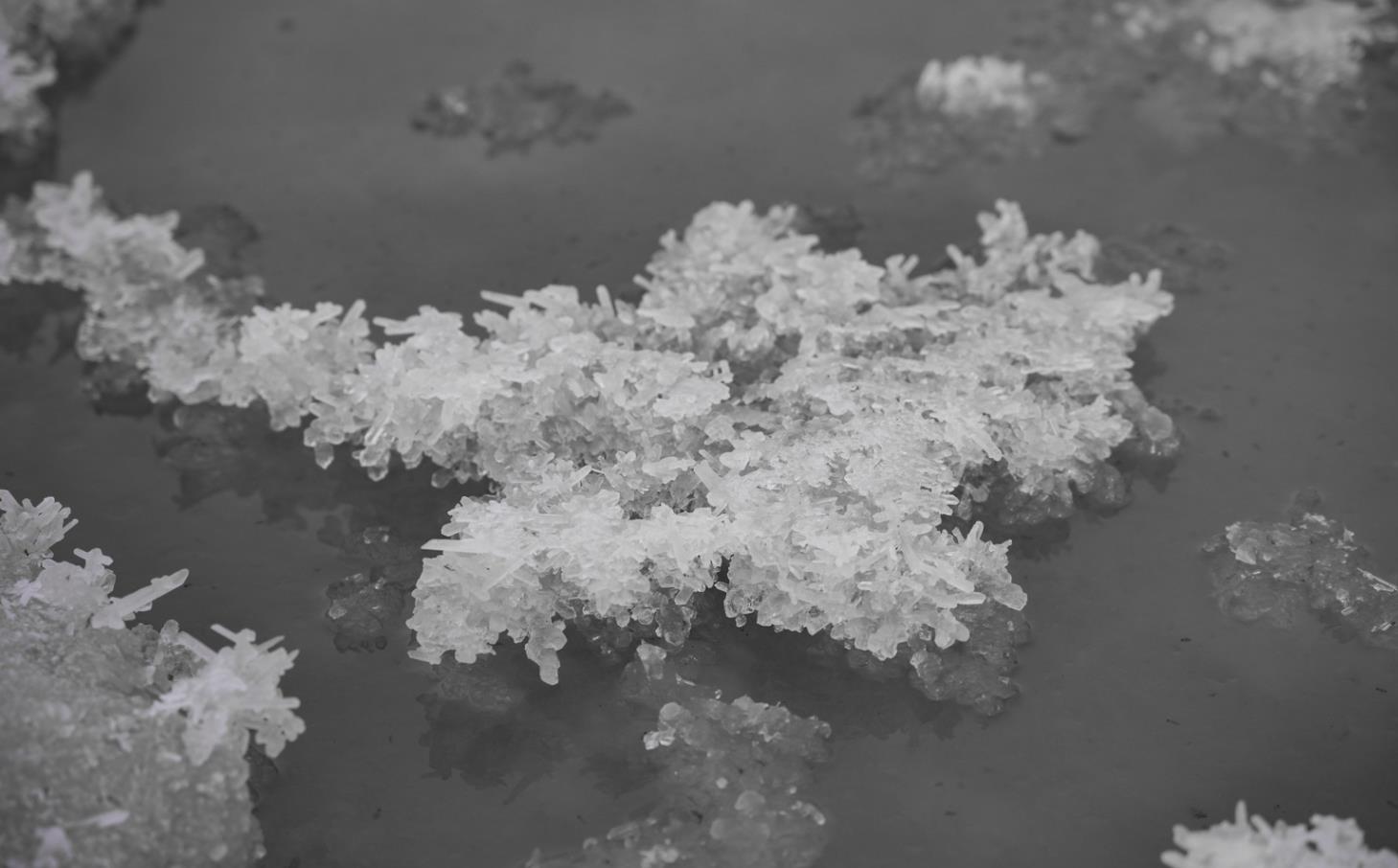 冬日鹽湖 “雪樹銀花”【6】