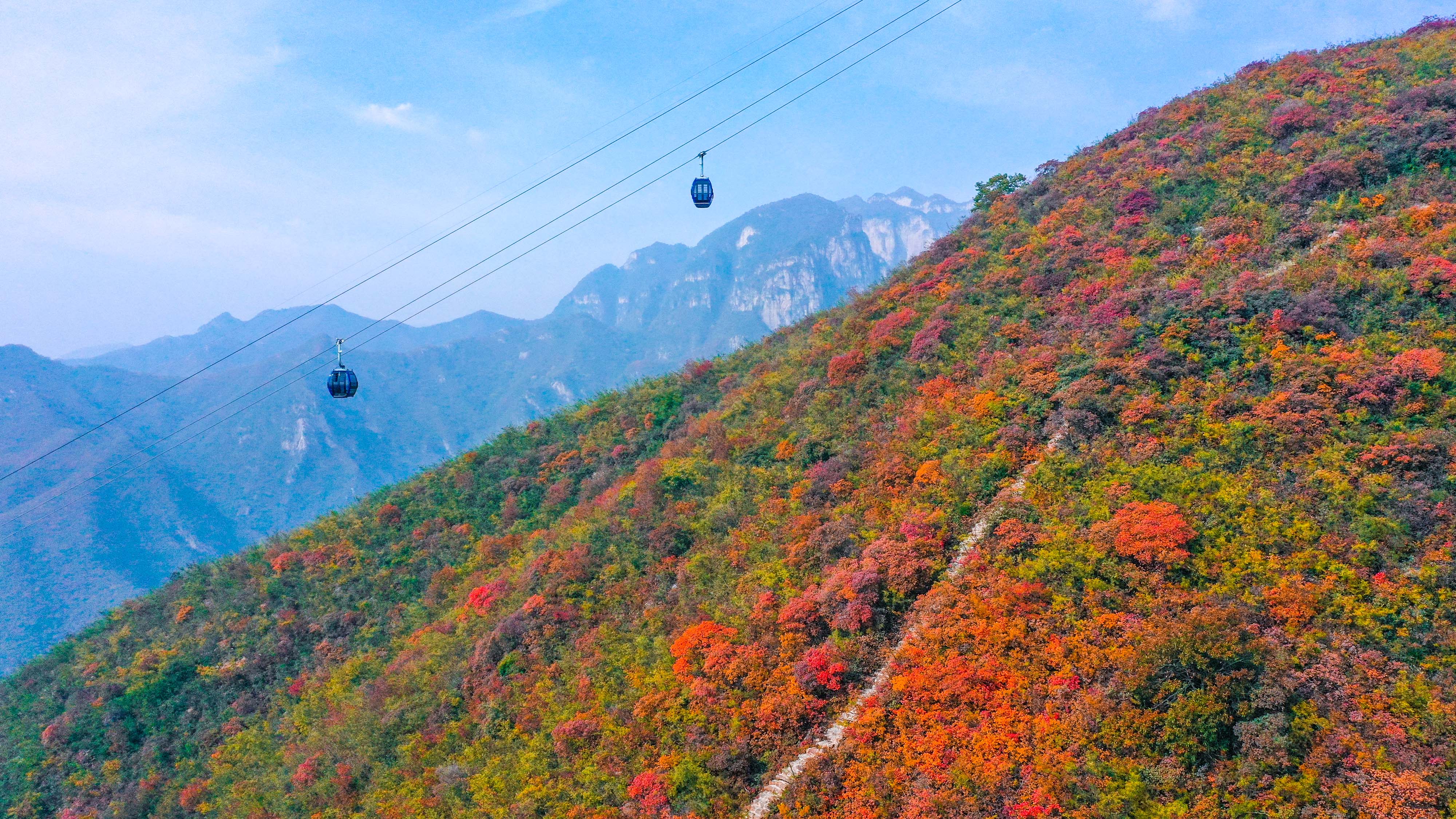 云臺(tái)山萬畝彩林秋意濃。景區(qū)供圖
